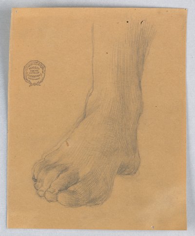 Studie av høyre fot av Francis Augustus Lathrop