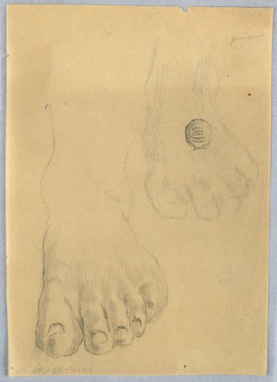 Studiul unui norvegian de picior stâng av Francis Augustus Lathrop