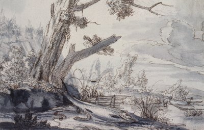 Fisk på en bank av Francis Barlow