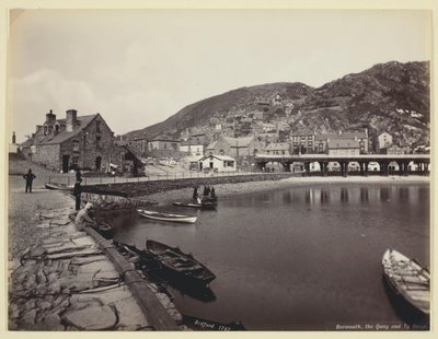 Barmouth, the Quay og Ty Gwyn, 186094. av Francis Bedford