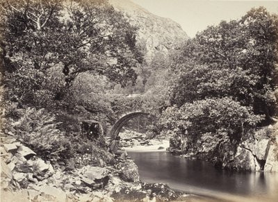  av Francis Bedford