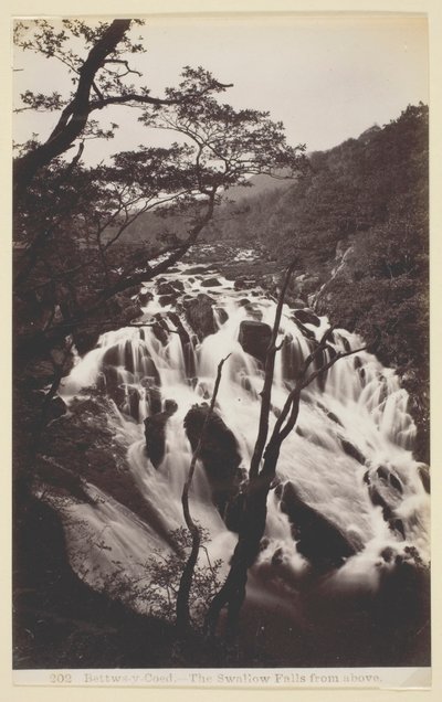 Betws-y Coed, The Swallow Falls from Above av Francis Bedford