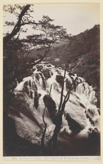 Bettws-y Coed, The Swallow Falls from Above, 186094. av Francis Bedford