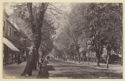 Cheltenham, Promenade, 186094. av Francis Bedford