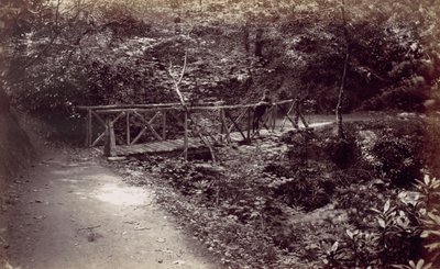 Colwyn Bay. Rustikk bro i skogen, 1870-tallet. av Francis Bedford