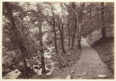 Dolgelley, View in Torrent Walk av Francis Bedford