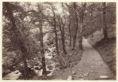 Dolgelley, View in Torrent Walk, 186094. av Francis Bedford