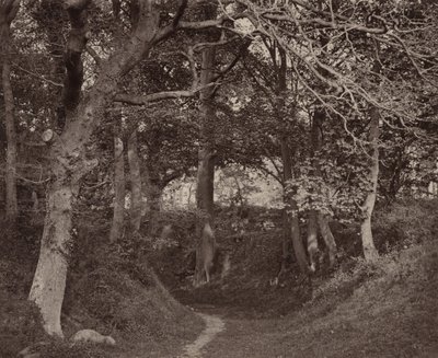 Glen Kenilworth, ca. 1868 (foto) av Francis Bedford