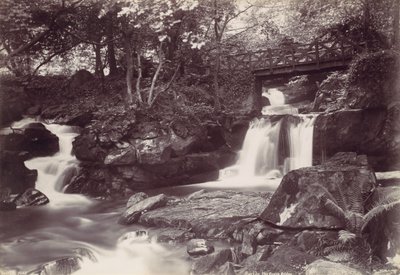 Glen Lun. Den rustikke broen, 1870-tallet. av Francis Bedford