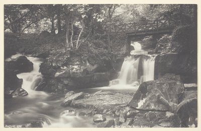 Glen Lyn, den rustikke broen av Francis Bedford