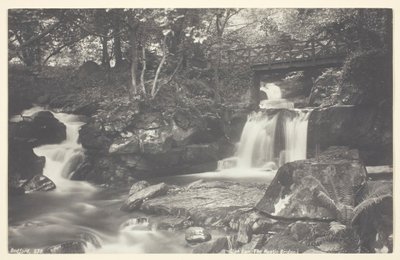 Glen Lyn, den rustikke broen, 186094. av Francis Bedford