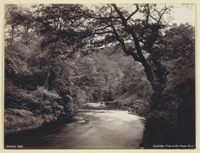 Ivy Bridge, utsikt over Prysor-elven, 186094. av Francis Bedford