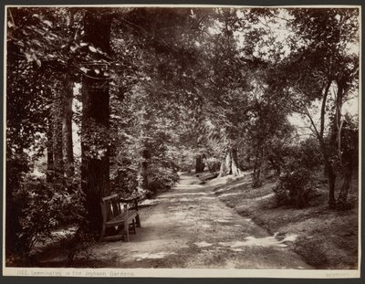 Leamington, i Jephson-hagene av Francis Bedford