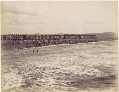  av Francis Bedford