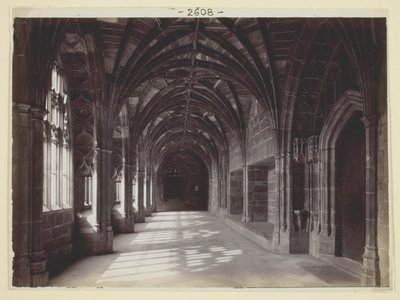 Uten navn av Francis Bedford