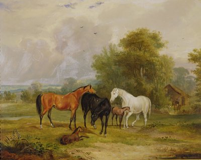 Hester på beite: Hopper og føll i åker av Francis Calcraft Turner