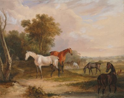 av Francis Calcraft Turner