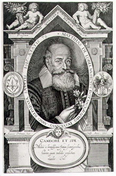 Portrett av Matthias de Lobel (1538-1622) gravert av kunstneren av Francis Delaram