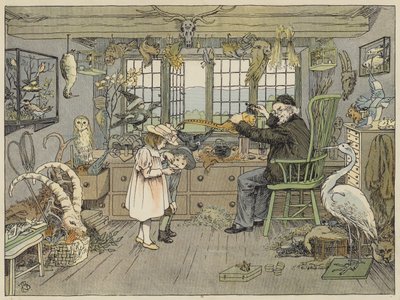 Fuglefyller (fargelitografi) av Francis Donkin Bedford
