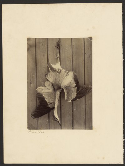  av Francis Edmond Currey