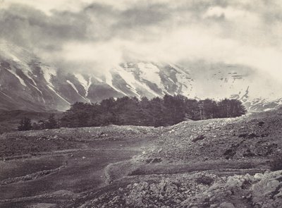 Fjernsyn over Libanons sedertre, ca. 1857. av Francis Frith