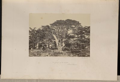  av Francis Frith