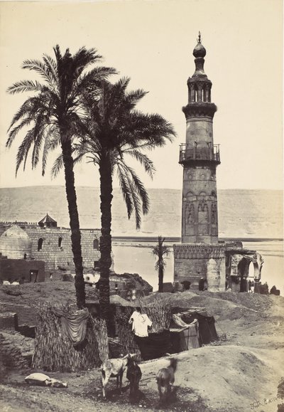Utsikt ved Girgeh, 1857. av Francis Frith