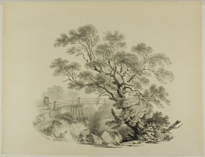 Tre og gangbro av Francis Nicholson