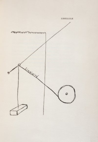 Øyenstikker av Francis Picabia