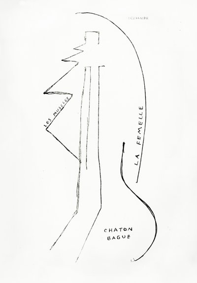  av Francis Picabia
