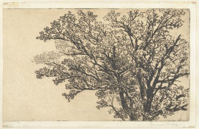 Krone av et tre Det tidligste treet av Francis Seymour Haden (Sir) (signed by artist)