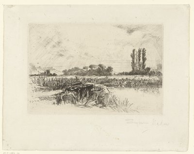 Flommark En vannetg av Francis Seymour Haden (Sir) (signed by artist)