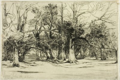 En by-road i Tipperary av Francis Seymour Haden