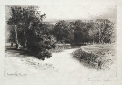 En solnedgang i Irland, 1863. av Francis Seymour Haden