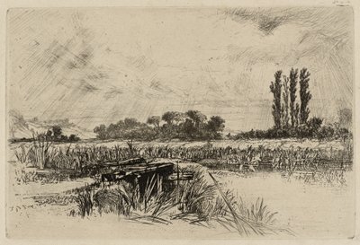 En vanneng av Francis Seymour Haden