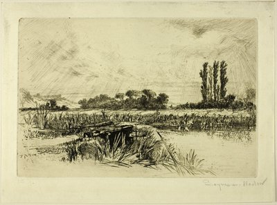 En vanneng av Francis Seymour Haden