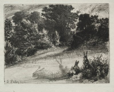 Kjem bunnen. av Francis Seymour Haden