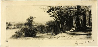 Tidlig morgen, Richmond Park av Francis Seymour Haden