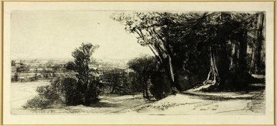 Tidlig morgen, Richmond Park av Francis Seymour Haden