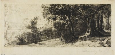 Tidlig morgen, Richmond Park av Francis Seymour Haden