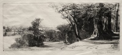 Tidlig morgen, Richmond Park. av Francis Seymour Haden