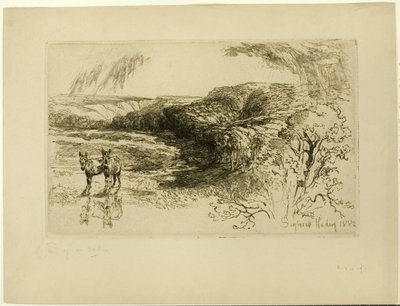 Encombe Woods, nr. II av Francis Seymour Haden