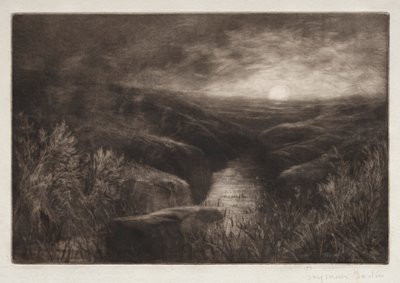 Tilholdssted for myggen av Francis Seymour Haden