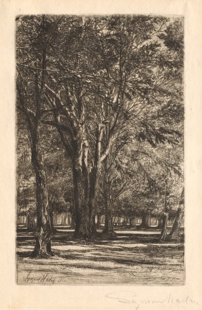 Kensington Gardens, nr. 2 (stor tallerken) av Francis Seymour Haden