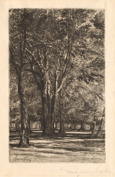 Kensington Gardens, nr. 2 Large Plate, 1860. av Francis Seymour Haden