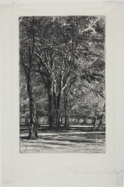 Kensington Gardens, nr. II (stor tallerken) av Francis Seymour Haden