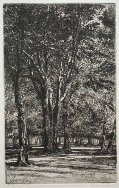 Kensington Gardens The Large Plate, 1860. av Francis Seymour Haden
