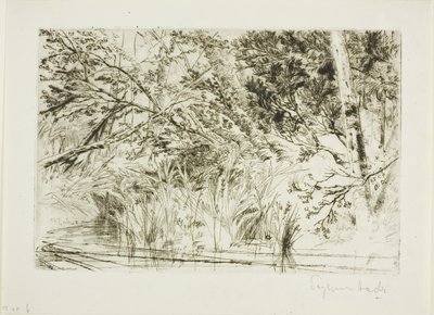 Munn av en bekk, nr. II av Francis Seymour Haden