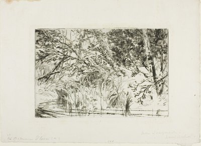 Munn av en bekk, nr. II av Francis Seymour Haden