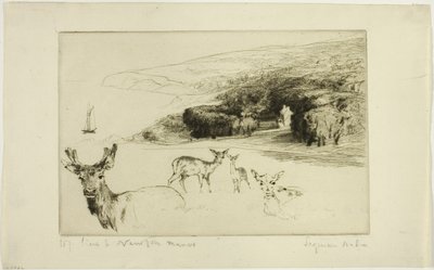 Newton Manor av Francis Seymour Haden